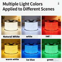 Lampu Strip LED Tahan Air IP67 110V 220V Ukuran 10mm Pilihan Multi-Warna untuk Lanskap & Dekorasi Luar Ruangan Smd2835