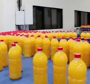 Ligne de production automatique de jus de fruits <span class=keywords><strong>orange</strong></span>/pomme/vin avec capsulage remplissage embouteillage et extracteur de jus - Product Image 5