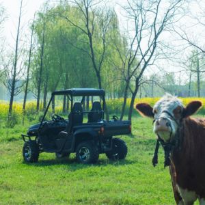 Véhicule utilitaire électrique 4 places <span class=keywords><strong>4x4</strong></span> tout-terrain pour <span class=keywords><strong>jungle</strong></span>, ferme, ranch, complexe hôtelier et camping - Product Image 2