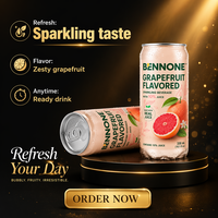 Boisson pétillante aromatisée au pamplemousse, faible en gras, 300 ml, 10 % de jus, prête à boire, boisson gazeuse aux agrumes en bouteille, certifiée HACCP