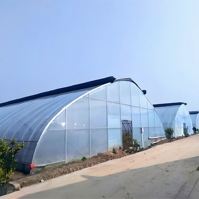 Free Sample Greenhouse Roofing Material / PE Greenhouse Film Cover / UV Treated Plastic Film for Commercial Greenhouse