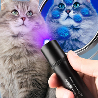 Lampe de poche 2 en 1 365nm UV Lumière noire et rouge Laser LED Lampe de poche UV 365nm rechargeable par USB
