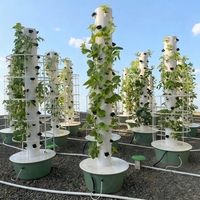 Systèmes de culture hydroponique verticaux Growing Towers, système de culture hydroponique vertical Pineapple Tower