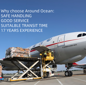 Transportista marítimo FCL de China a Chipre, Georgia, India, <span class=keywords><strong>Indonesia</strong></span> - Product Image 3