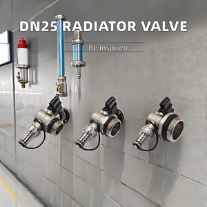 -Scarico di controllo della valvola d'ottone del filo di 30 to120 gradi per il radiatore moderno del sistema di riscaldamento <span class=keywords><strong>a</strong></span> <span class=keywords><strong>pavimento</strong></span> - Product Image 4