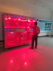 Lize Sang Trọng Thép Không Gỉ 304 Vật Nuôi Bệnh Viện Lồng Ngân Hàng Sắt Thú Y Con Chó Thú Y Mèo Phòng Khám Thú Y Tàu Sân Bay Mô Hình Động Vật Cho Các Loài Chim - Product Image 4