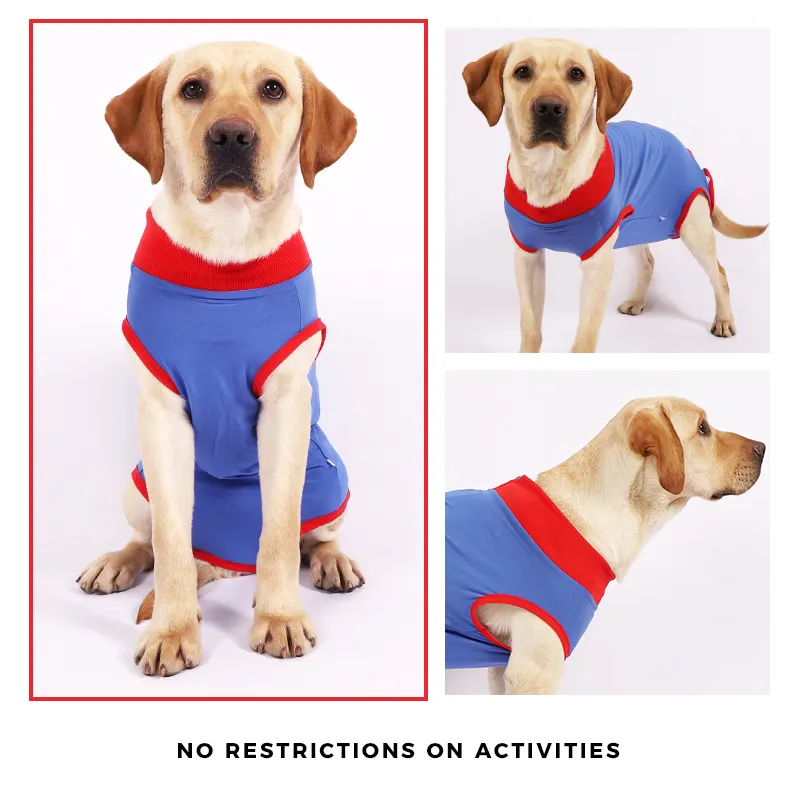 Famicheer onesie anjing pemulihan medis setelan pemulihan hewan peliharaan post operasi cocok untuk anjing