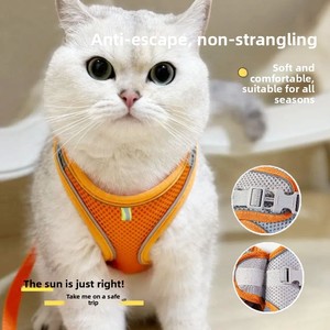 Pettorina Regolabile e Traspirante <span class=keywords><strong>per</strong></span> Gatti con Guinzaglio, <span class=keywords><strong>per</strong></span> Cani di Piccola Taglia e <span class=keywords><strong>Conigli</strong></span>, Design Anti-Rottura - Product Image 5