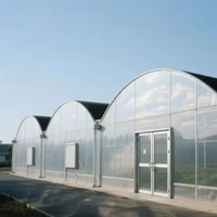 Serre agricole personnalisée de grande taille à bas prix Serre hydroponique à film plastique multi-span à vendre