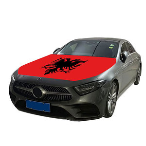 Bandiere di porto Rico copertura del cofano dell'auto