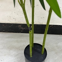 Bonsái Artificial de Bambú con Forma de Mano de Buda, Planta Artificial en Maceta, Alta Simulación, Estilo Chino, Ecológica, para Interiores