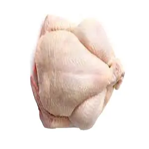 Pollo entero congelado brasileño a la venta cuerpo pollo entero fresco congelado 20kg cartones congelados