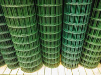 Maille de fil métallique galvanisé à chaud de bonne qualité 2x2 avant soudage en rouleaux pour clôture de volaille