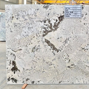 Dalle de granit Azul Blanc personnalisable de qualité supérieure 2026 pour la décoration murale de cuisines et salles de bain de villas et hôpitaux, export en vrac Inde - Product Image 3