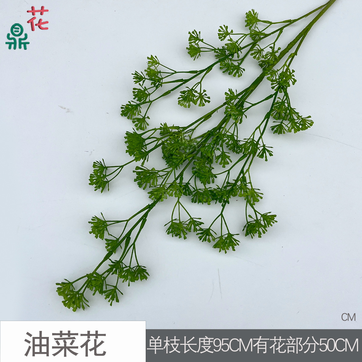 Fleurs de colza (CM) - Vert clair