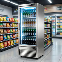 Réfrigérateur Vitrine à Porte Unique, Système de Refroidissement par Air et Option de Refroidissement par Tuyau, Économe en Énergie 304, Refroidisseur de Boissons pour Bar