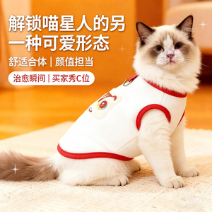 Gilet brodé pour chat mignon, vêtements chauds anti-chute de poils pour animaux de compagnie, design confortable pour chatons, automne-hiver - Product Image 1