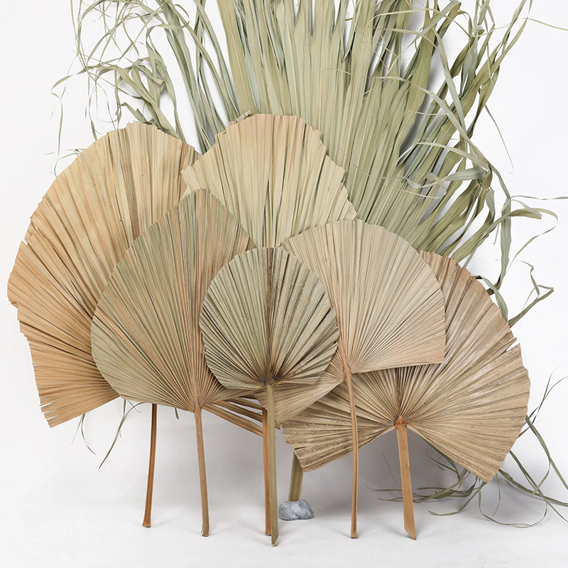 10 Foglie Artificiali Monstera In Plastica - Tropicali Per Decorazione Casa - Taglia S 31,5 Cm