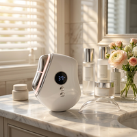 Appareil de massage facial multifonction personnalisé OEM, appareil de soin de la peau, machine de beauté, masseur facial portable pour usage domestique