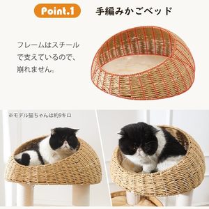 Premium Großer Katzenkratzbaum Turm Luxus-Stil Sisal Jute Material Naturholz Mini XXL Innen Katzenbaum Kartonverpackt - Product Image 4