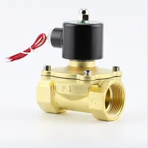 12V 24V 220V 1/2 2 inch 2W waterproof Two way solenoid valve Gas oil water 12v Water Solenoid