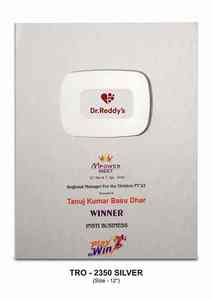 Trofeo de Metal Plateado, Reconocimiento Corporativo, Logros Empresariales y Eventos de Apreciación Profesional, Placa de Premio - Product Image 2