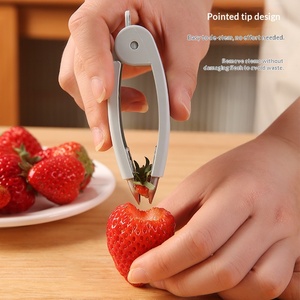 Outils multifonctionnels manuels en acier inoxydable pour fruits et légumes avec dénoyauteur, coupe-pommes et dénoyauteur de fruits - Product Image 1