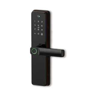 Único Trava Mortise Compatível Campainha Embutida Fechadura Da Porta De Impressão Digital Tuya Wifi Cat Eye Fechadura Da Porta Visível