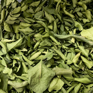 Hojas de Limón Kaffir Frescas Premium 100% Naturales, Grado Alimenticio, Venta al por Mayor, OEM, Marca Privada, Proveedor de Vietnam, 12 Meses de Vida Útil - Product Image 1