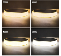 Bande LED FCOB extra large de 20 mm, flexible, 110 lm/w, 3072 LED, découpable, DC24V, 30W, 1m, contrôlée par Wi-Fi, contrôleur de couleur intérieur, IP66, RoHS