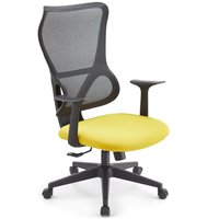 Chaise de bureau ergonomique avec accoudoirs fixes et support lombaire, disponible en plusieurs couleurs, chaise pivotante adaptée à la maison et au bureau