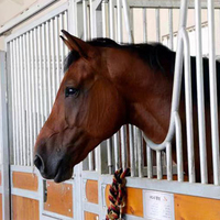 Belle boîte à cheval en bambou Cage pour animaux enduite de poudre de décrochage équin classique pour fermes et chevaux