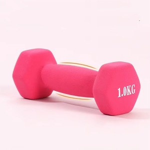 Ensemble d'haltères en PVC enduit de néoprène Fitness Training Poids de squat avant léger Ensemble d'haltères en néoprène vibrant pour femmes - Product Image 2