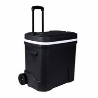 Glacière portable isotherme Bearhike Modern 33L avec roulettes, design isolé, maintien de la glace pendant 5 jours, absorption de la réfrigération des aliments