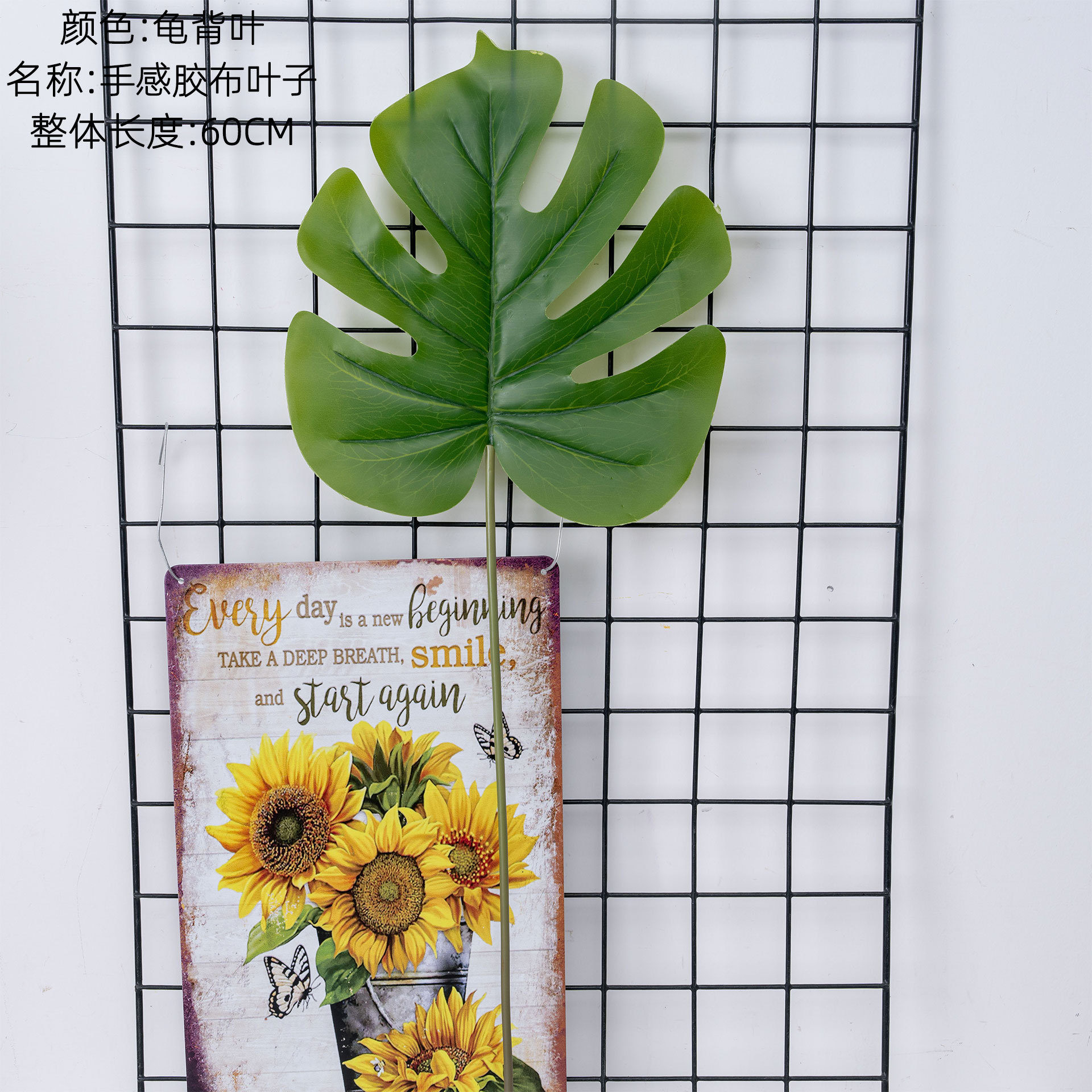 Feuilles de Monstera