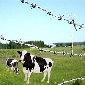 Les murs et les clôtures sont densément équipés de barrières continues en hauteur et ont passé avec succès les tests anti-escalade officiels. - Product Image 4