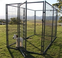 Chenil pour chien en acier robuste de qualité supérieure, cage pour animaux de compagnie à motif solide, abri en fer pour chien d'extérieur, boîte de rangement pour animaux