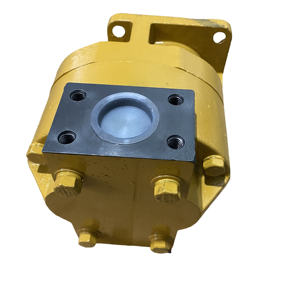 Bomba Hidráulica para Cargadora de Montaña HuamaoSGM 650B, Bomba de Trabajo Bomba de Engranajes W066900000B - Product Image 1