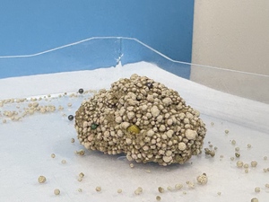 벤지 친환경 100% 천연 벤토나이트 고양이 모래 라벤더 향 냄새 차단 강력 먼지 없는 응고형 5kg 팩 - Product Image 3