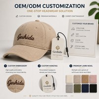 Gorra de Béisbol de Felpa Unisex Personalizada al por Mayor con Logotipo, Gorro Térmico con Forro de Sherpa a Prueba de Viento con Bordado