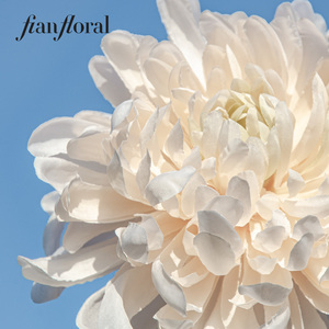 Flor Artificial <span class=keywords><strong>de</strong></span> Crisantemo Individual <span class=keywords><strong>de</strong></span> Alta Calidad, Realista y Moderna, Centro <span class=keywords><strong>de</strong></span> Mesa para San Valentín, Venta Caliente <span class=keywords><strong>de</strong></span> FONG IAN - Product Image 2