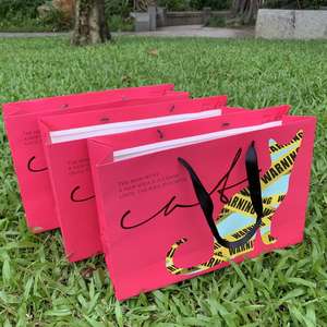 Bolsa de Papel Ecológica Personalizada con Impresión de Cinta de Seda, Resistente a la Humedad, Reutilizable, para Compras, Pasteles, Vino, con Logotipo - Product Image 2