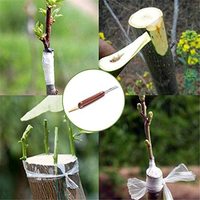 Couteau de greffage pliable pour jardin, ciseaux de taille pour jeunes pousses et arbres