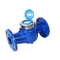 Medidor de Agua de Gran Diámetro DN200, Precio Competitivo, Duradero, Certificado MID, OEM, para Suministro de Agua Municipal y Proyectos a Gran Escala