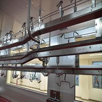 Économie de main-d 'œuvre équipement d'abattoir mouton avec couteau d'abattage mouton pour usine de transformation de la viande