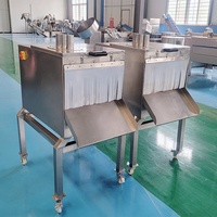 DY Industriële Fruit- en Groentesnijmachine met Motor, Verstelbare Dikte, 304 RVS, Capaciteit 600-1500kg/u