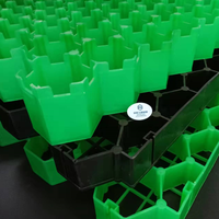 Grille de pavage en plastique vert pour plantation d'herbe, fabriquée en usine, protection de l'environnement, 500*500*50mm
