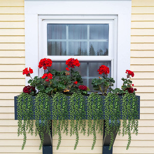 Plantas colgantes artificiales Simulación de plantas suculentas, bonsái de cadena de perlas para la decoración del jardín del hogar hierba - Product Image 5