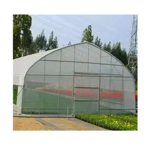 Single-Span Tunnel Poly Film Greenhouses for Agriculture
