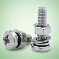 Metrisches Rundkopf-Phillips-Schrauben-Muttern-Unterlegscheiben-Kombinationsset, 304 Edelstahl Industrie-Hardware